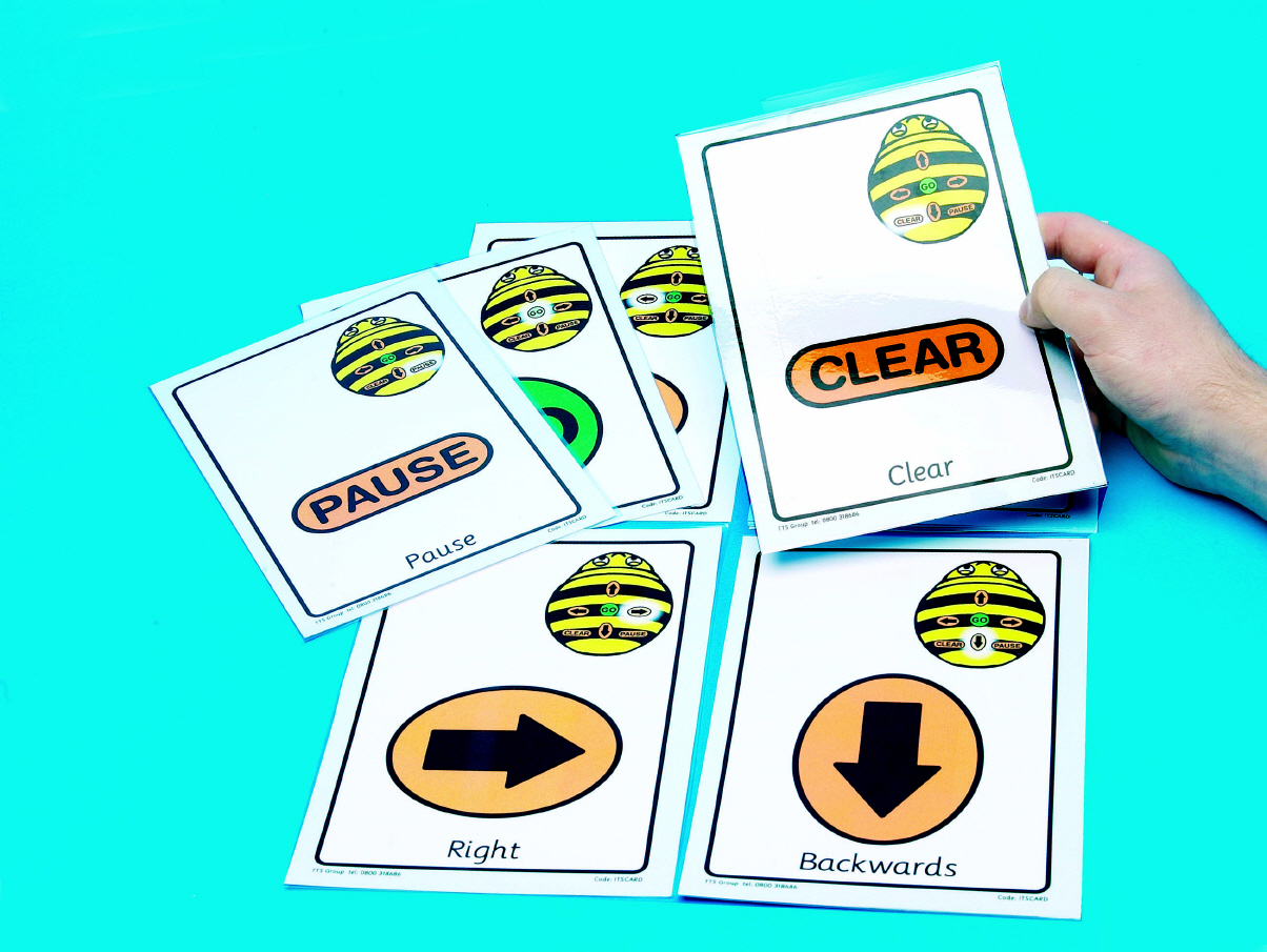Giant Bee-Bot Sequence Cards
