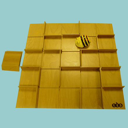 Bee-Bot changeable Maze